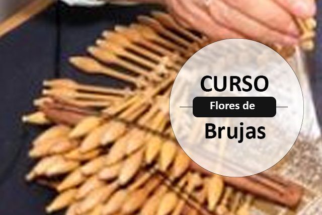 Flores de Brujas