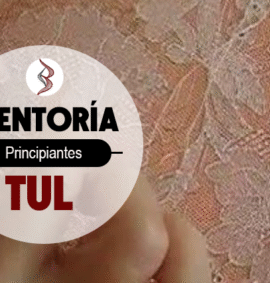 Curso | mentoría bordado tul | principiantes