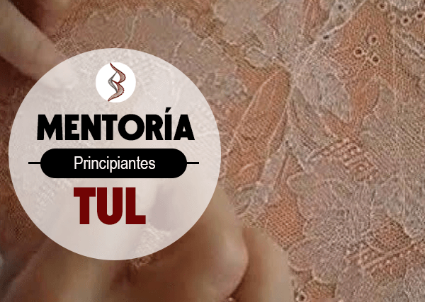 Curso | mentoría bordado tul | principiantes